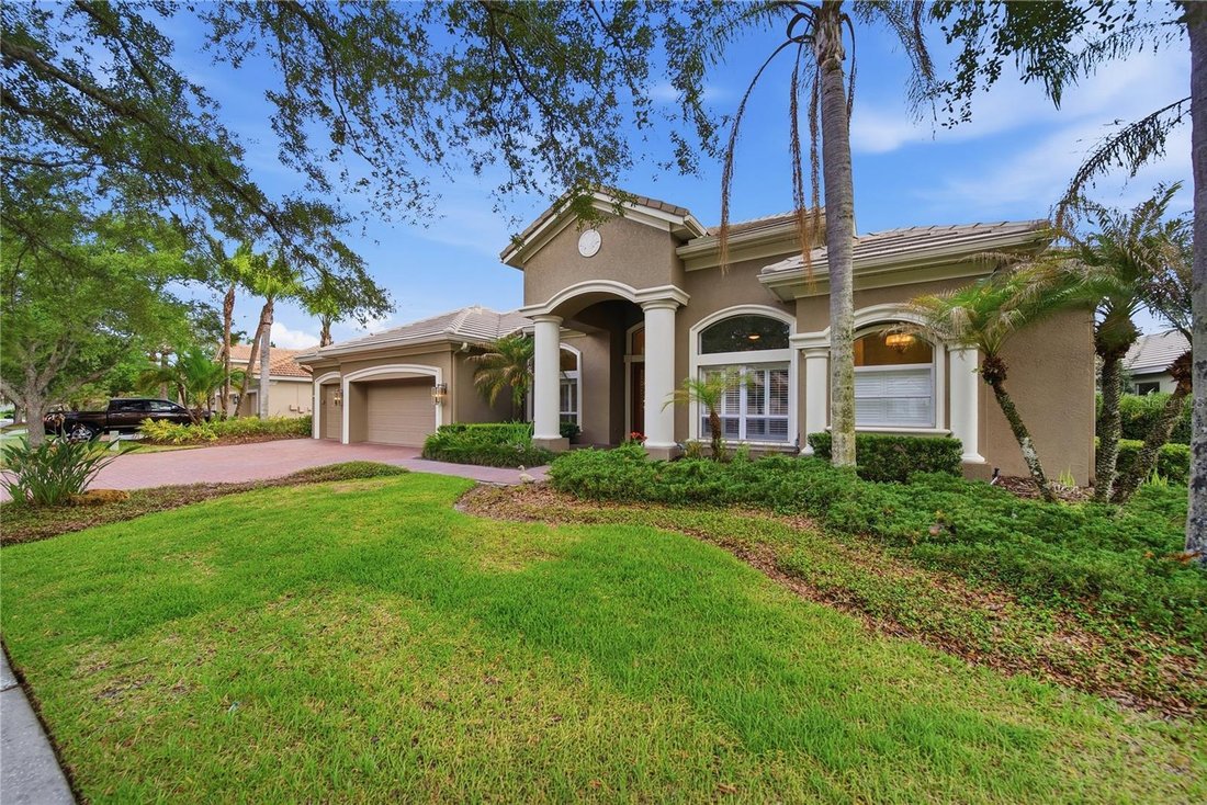 House in Tampa, Florida, United States 1 - 18033239