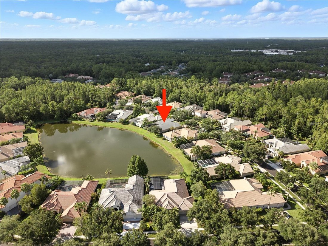 House in Tampa, Florida, United States 2 - 18033239