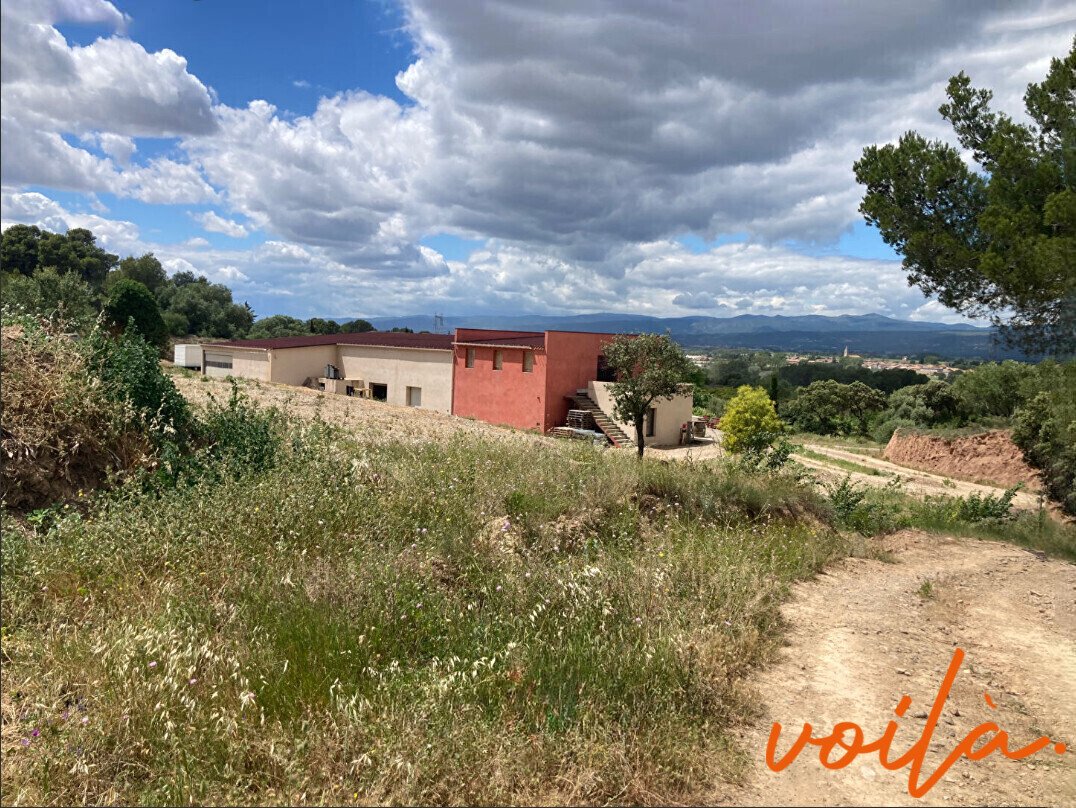 Baliste, Narbonne, France 1 - 18034703