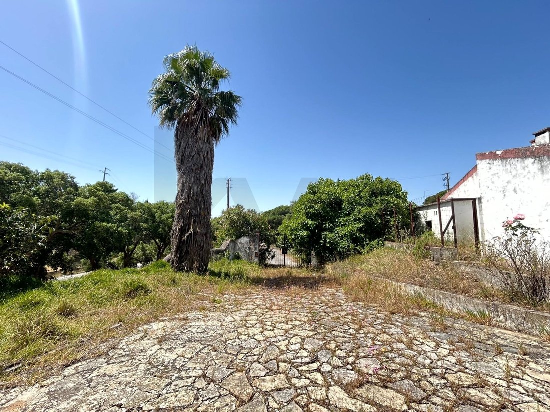 Land in Azambuja, Lisbon, Portugal 2 - 18034148