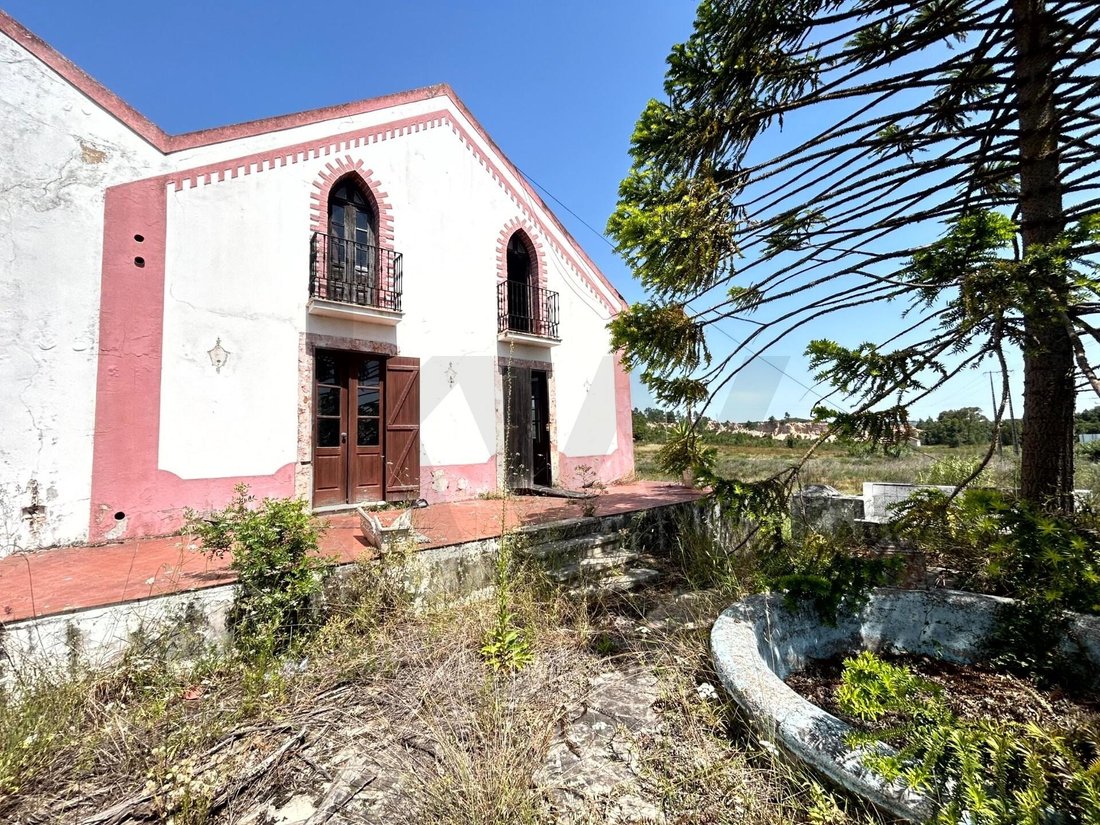 Land in Azambuja, Lisbon, Portugal 4 - 18034148