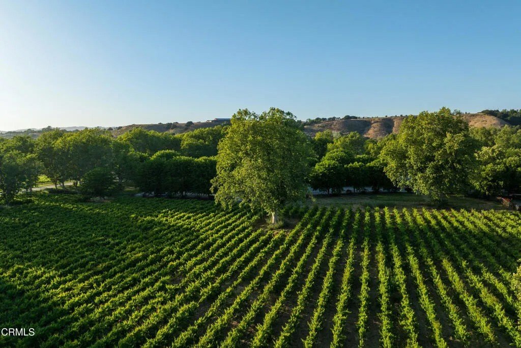 House in Solvang, California, United States 5 - 18033945