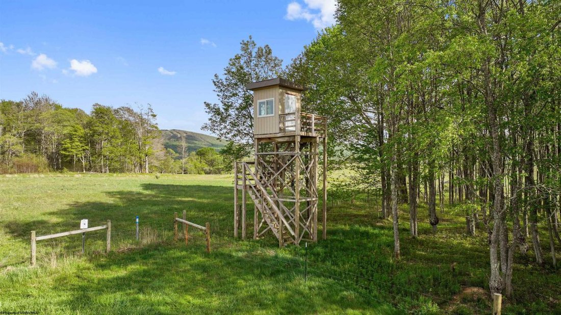 House in Davis, West Virginia, United States 5 - 18034327
