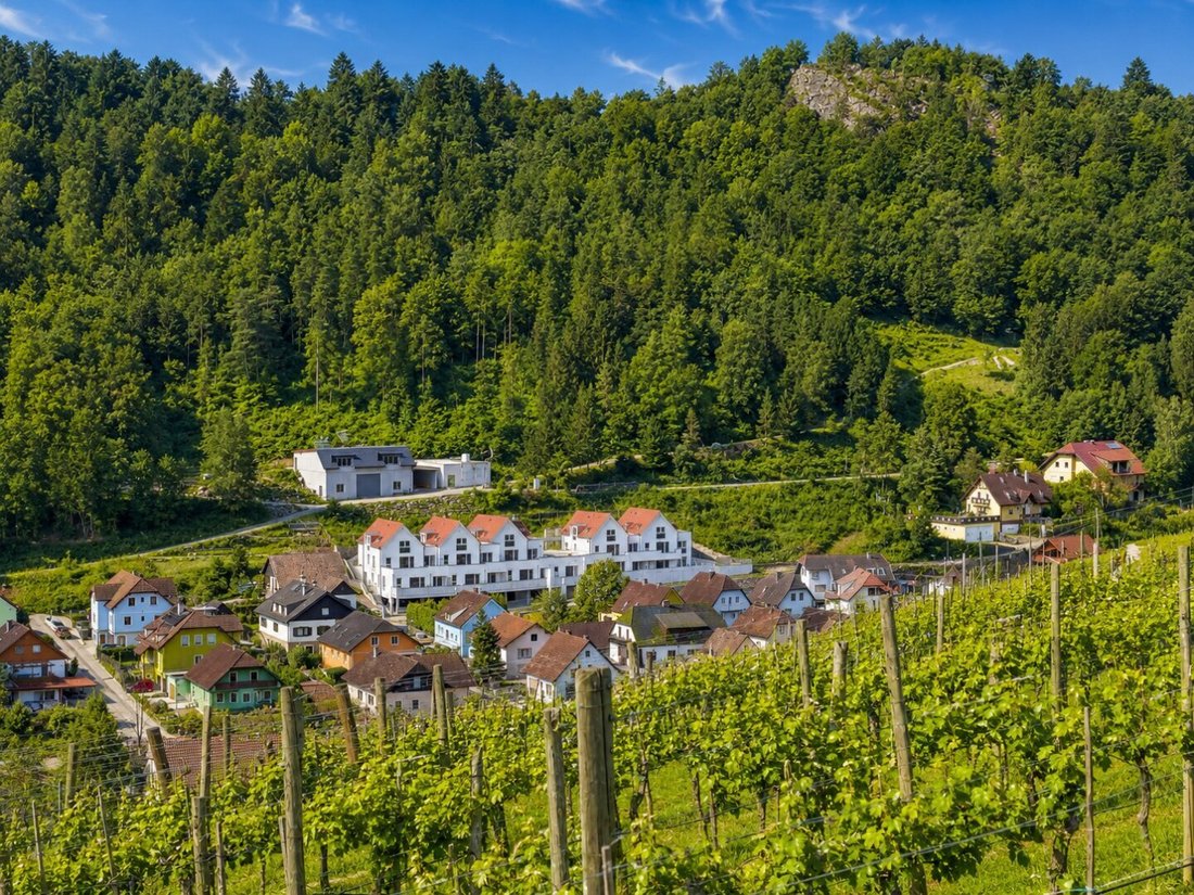 Apartment in Spitz, Lower Austria, Austria 5 - 16431133