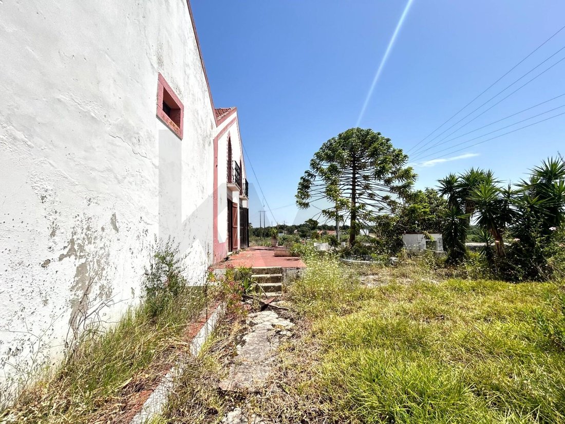 Land in Azambuja, Lisbon, Portugal 5 - 18034148