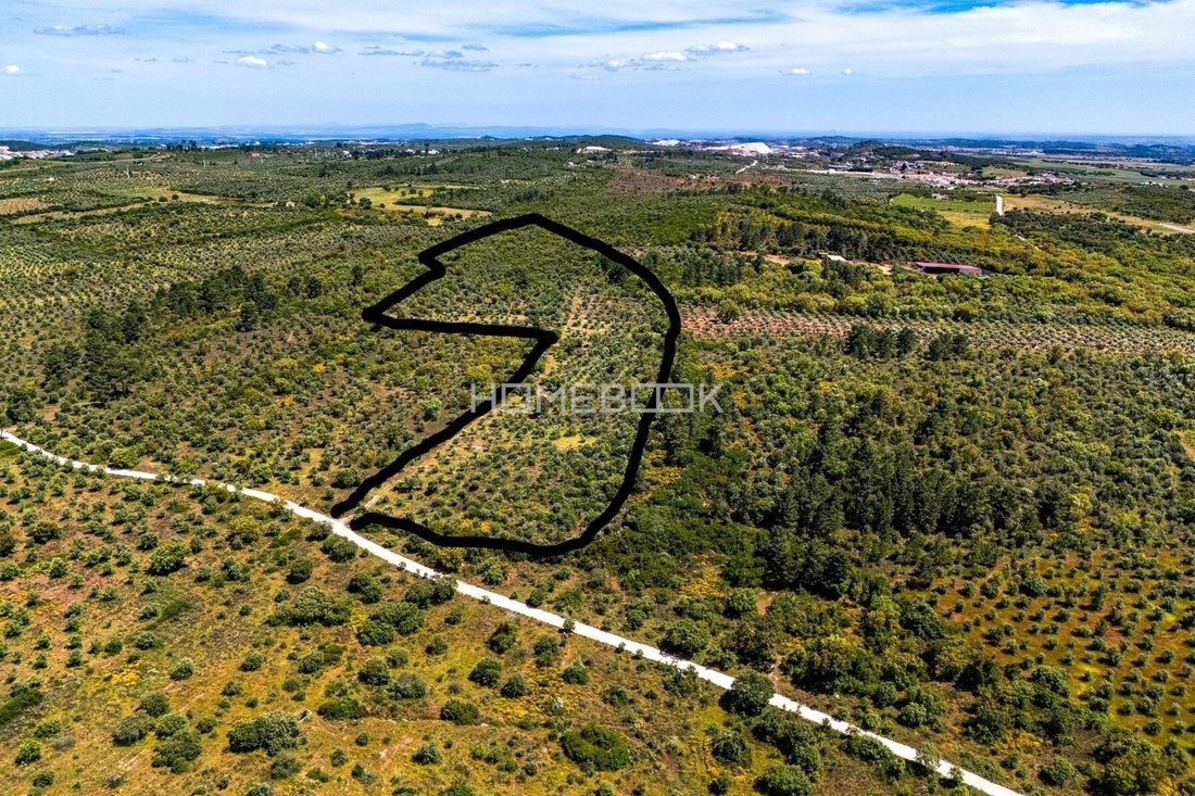 Land in Borba (Matriz), Évora District, Portugal 1 - 18035356