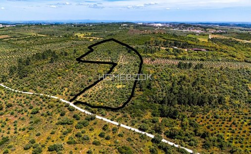 Terreno a Borba (Matriz), Distretto di Évora, Portogallo 1