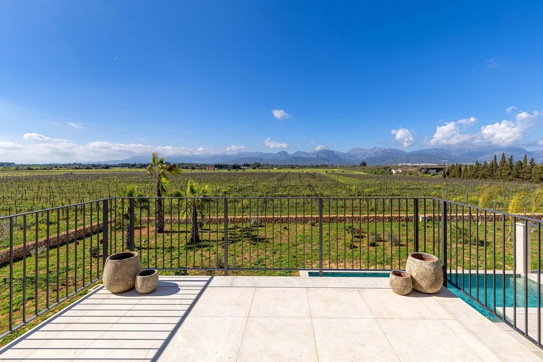 Farm Ranch in Binissalem, Balearic Islands, Spain 3 - 18035304