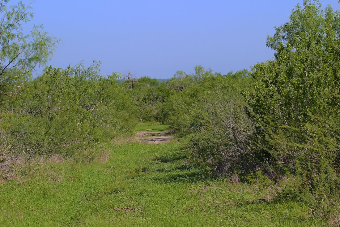 Farm Ranch in Falls City, Texas, United States 2 - 18035133