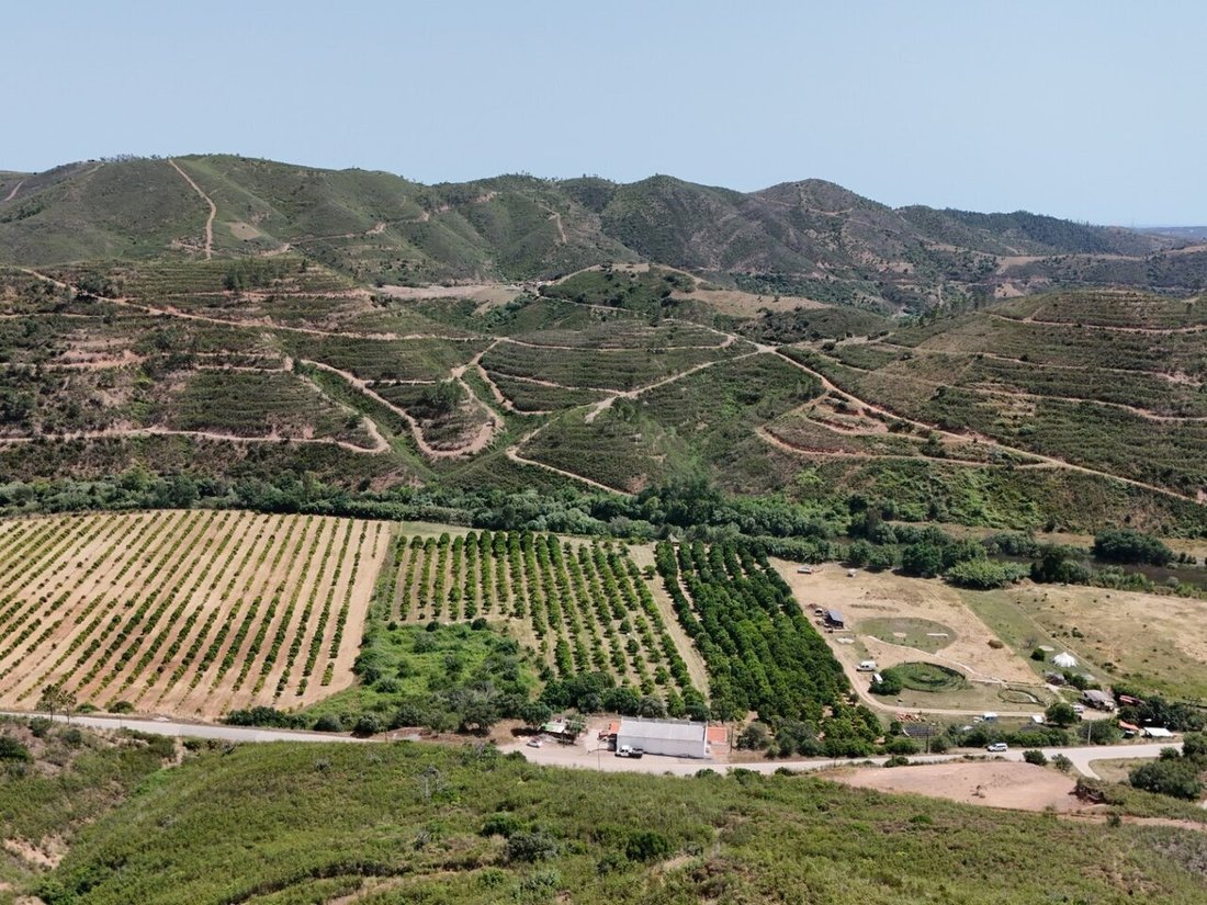 Farm Ranch in Alferce, Algarve, Portugal 5 - 18034054