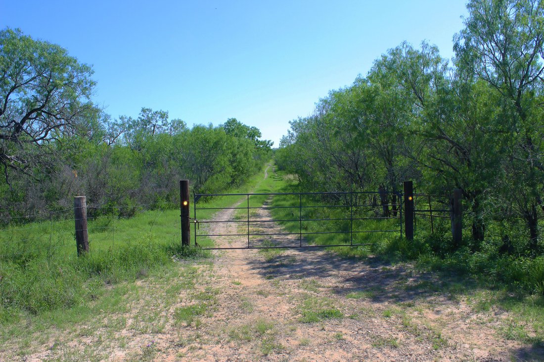 Farm Ranch in Falls City, Texas, United States 4 - 18035133