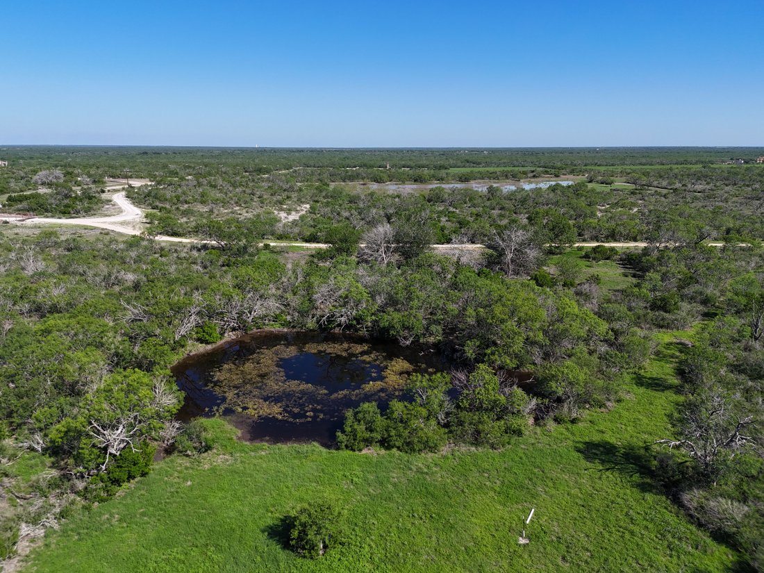 Farm Ranch in Falls City, Texas, United States 1 - 18035133