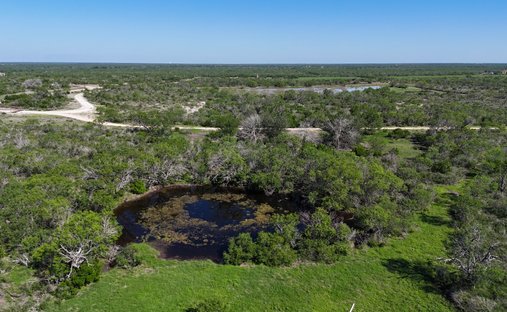 Farm Ranch in Falls City, Texas, United States 1