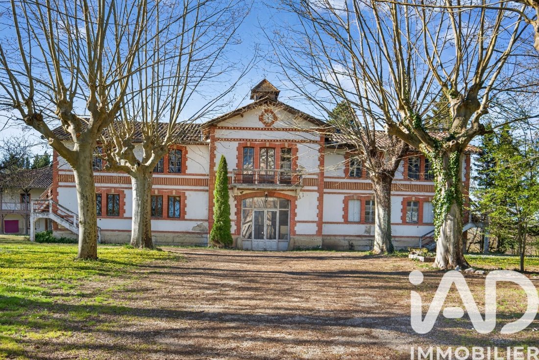 Altro a Montauban, Occitania, Francia 4 - 16853884