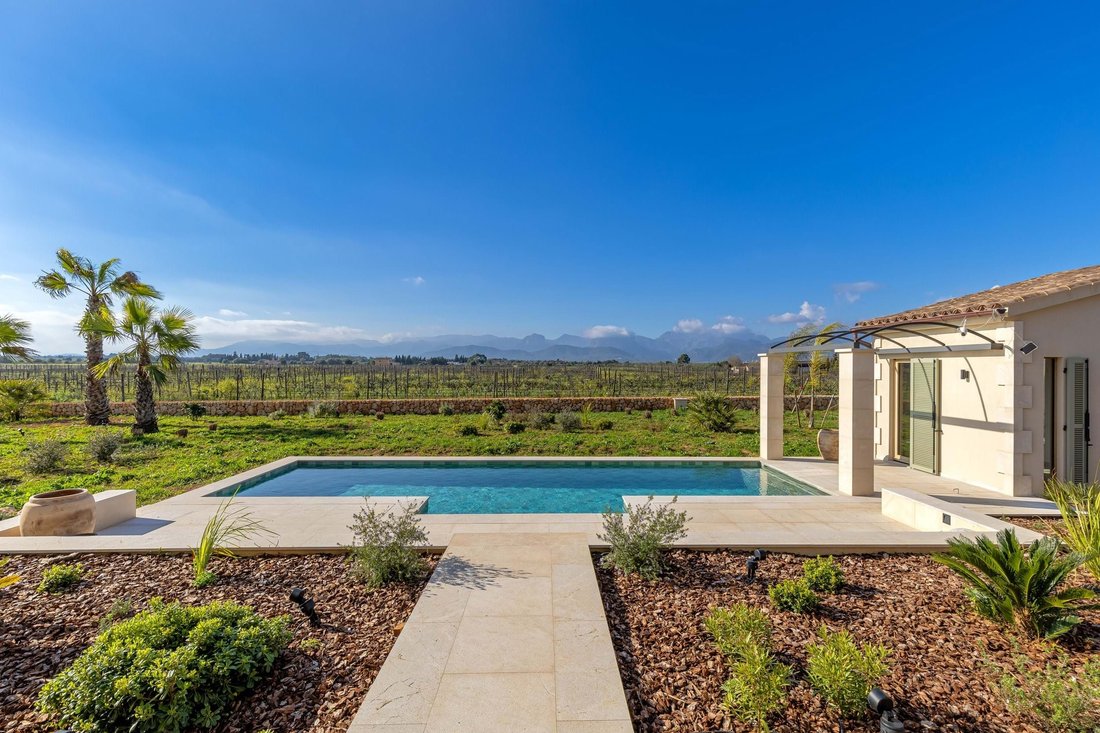 Farm Ranch in Binissalem, Balearic Islands, Spain 2 - 18035304
