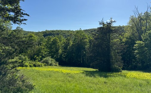 Land in Sherman, Connecticut, United States 1