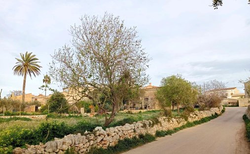 Terreno a S'Alqueria Blanca, Santanyí, Isole Baleari 1