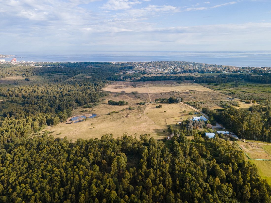 Farm Ranch in Playa Grande, Maldonado Department, Uruguay 4 - 18034415