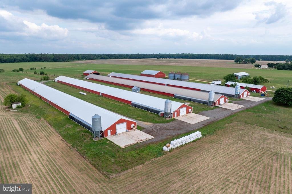 Farm Ranch in Preston, Maryland, United States 3 - 18034797