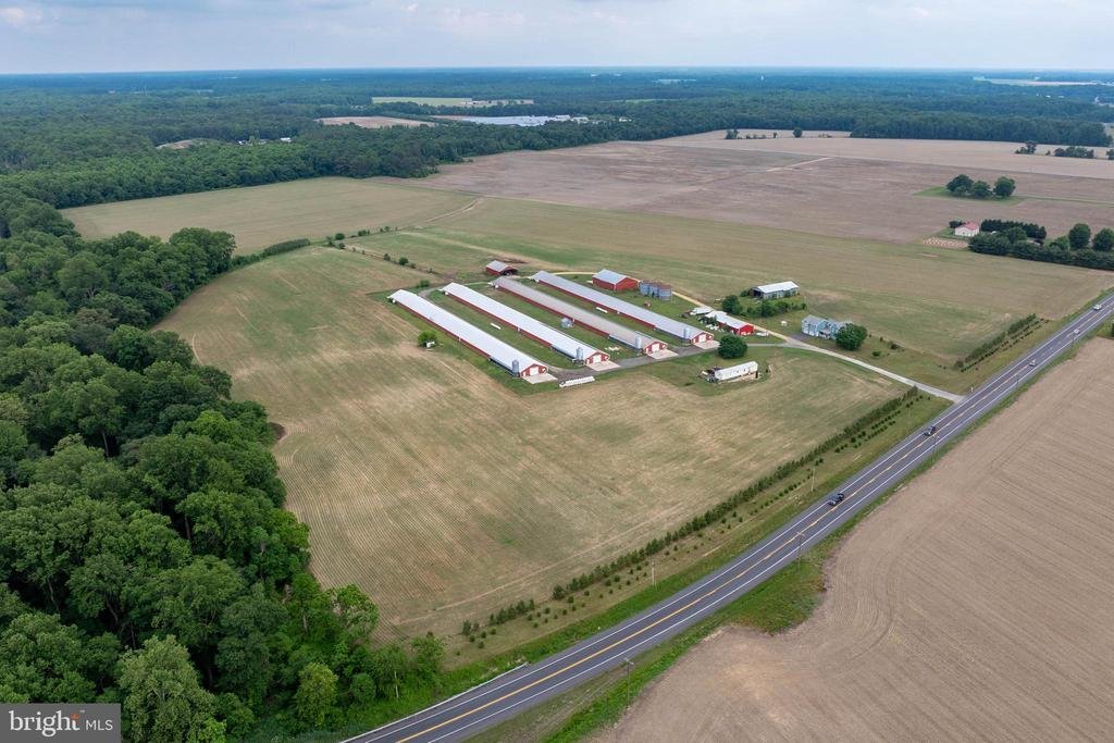 Farm Ranch in Preston, Maryland, United States 1 - 18034797