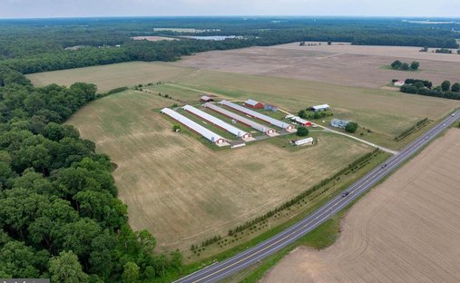 Farm Ranch in Preston, Maryland, United States 1