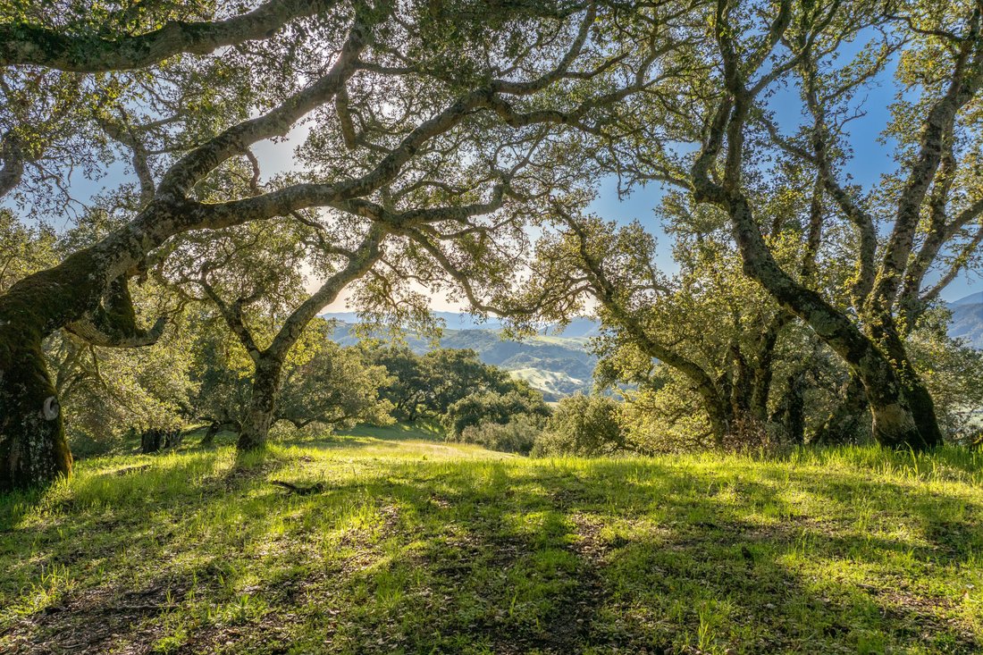 Land in Carmel-by-the-Sea, California, United States 2 - 18035330
