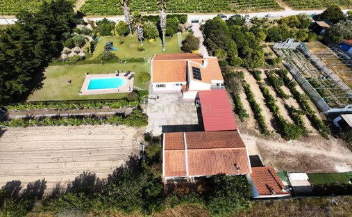 Azienda agricola a Palmela, Setúbal Municipality, Portogallo 1