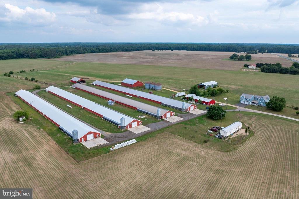 Farm Ranch in Preston, Maryland, United States 4 - 18034797