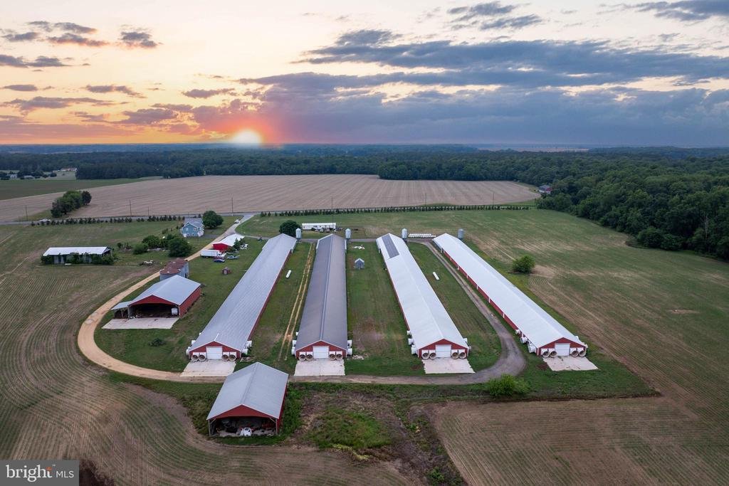 Farm Ranch in Preston, Maryland, United States 5 - 18034797