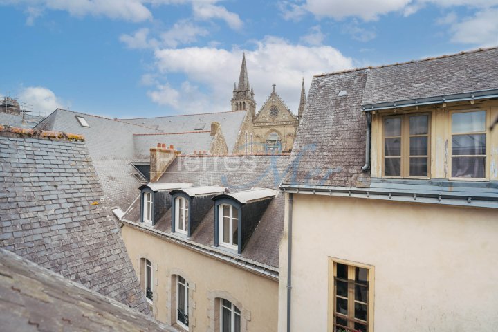 Apartment in Ouest Péri-Centre Ville, Vannes, France 5 - 18009483