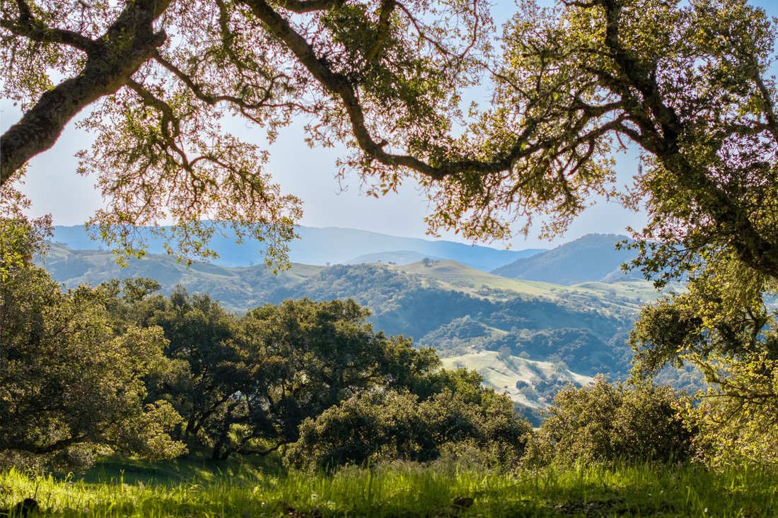 Land in Carmel-by-the-Sea, California, United States 5 - 18035330