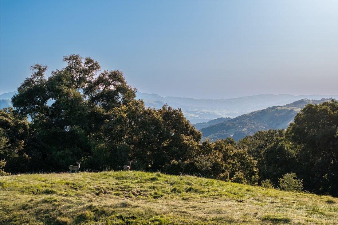 Land in Carmel-by-the-Sea, California, United States 3 - 18035330