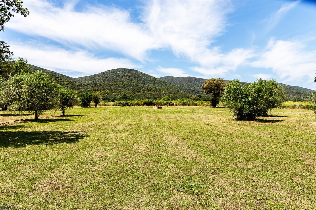 Farm Ranch in Grosseto, Tuscany, Italy 4 - 18034796