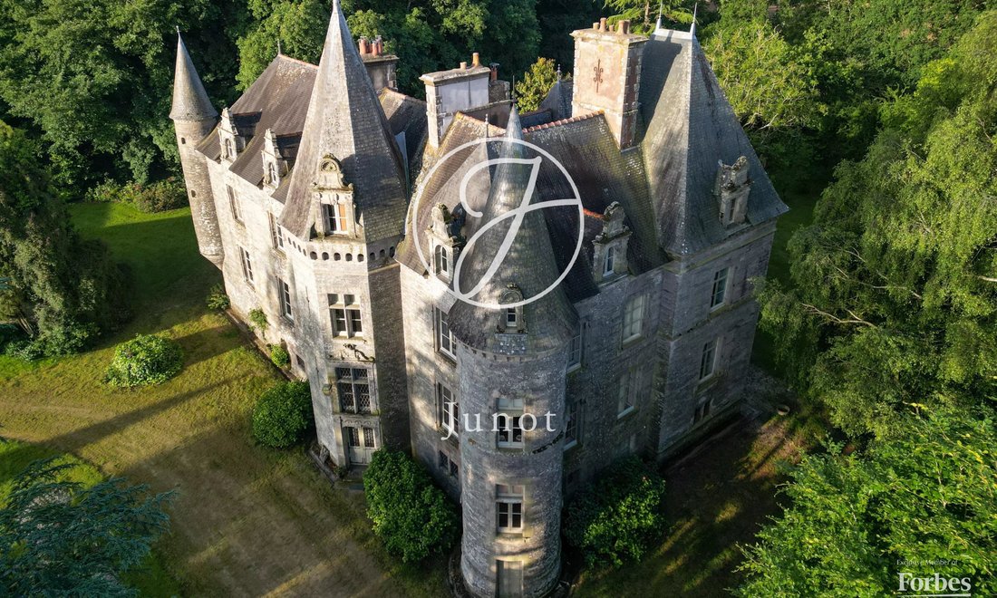 Castle in La Chapelle-Caro, Val d'Oust, France 3 - 17444734