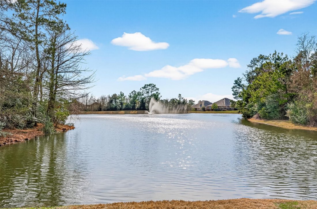 House in Conroe, Texas, United States 2 - 18037091