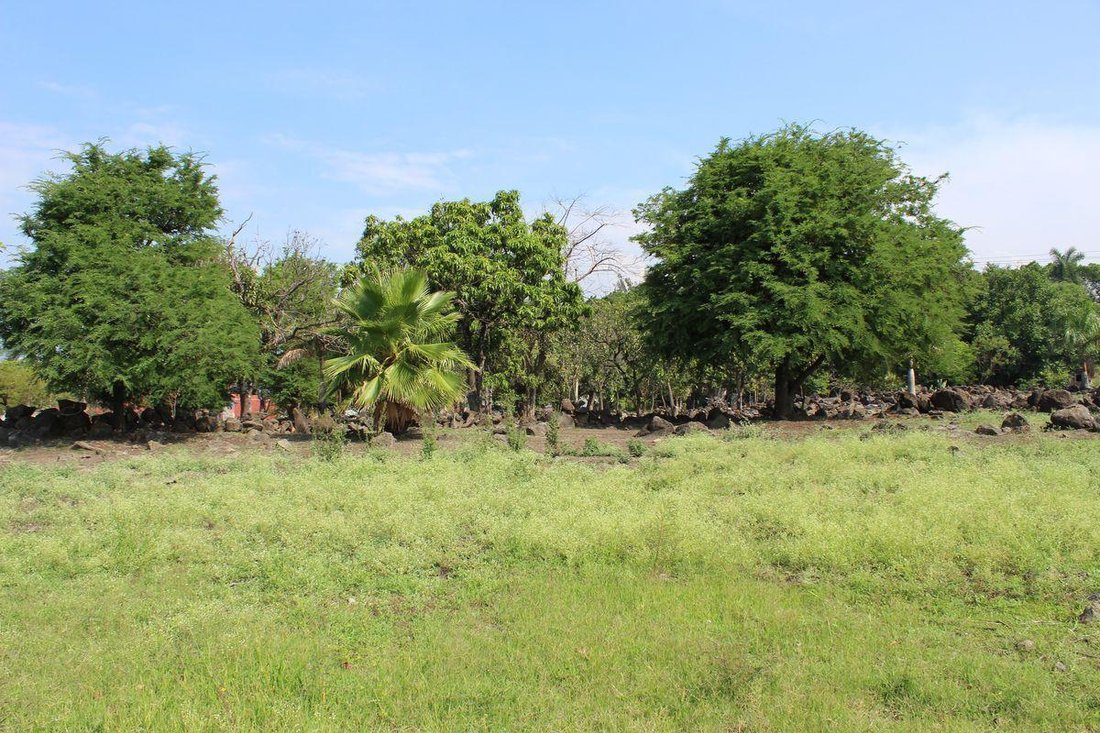 Land in Temixco, Morelos, Mexico 4 - 18042392