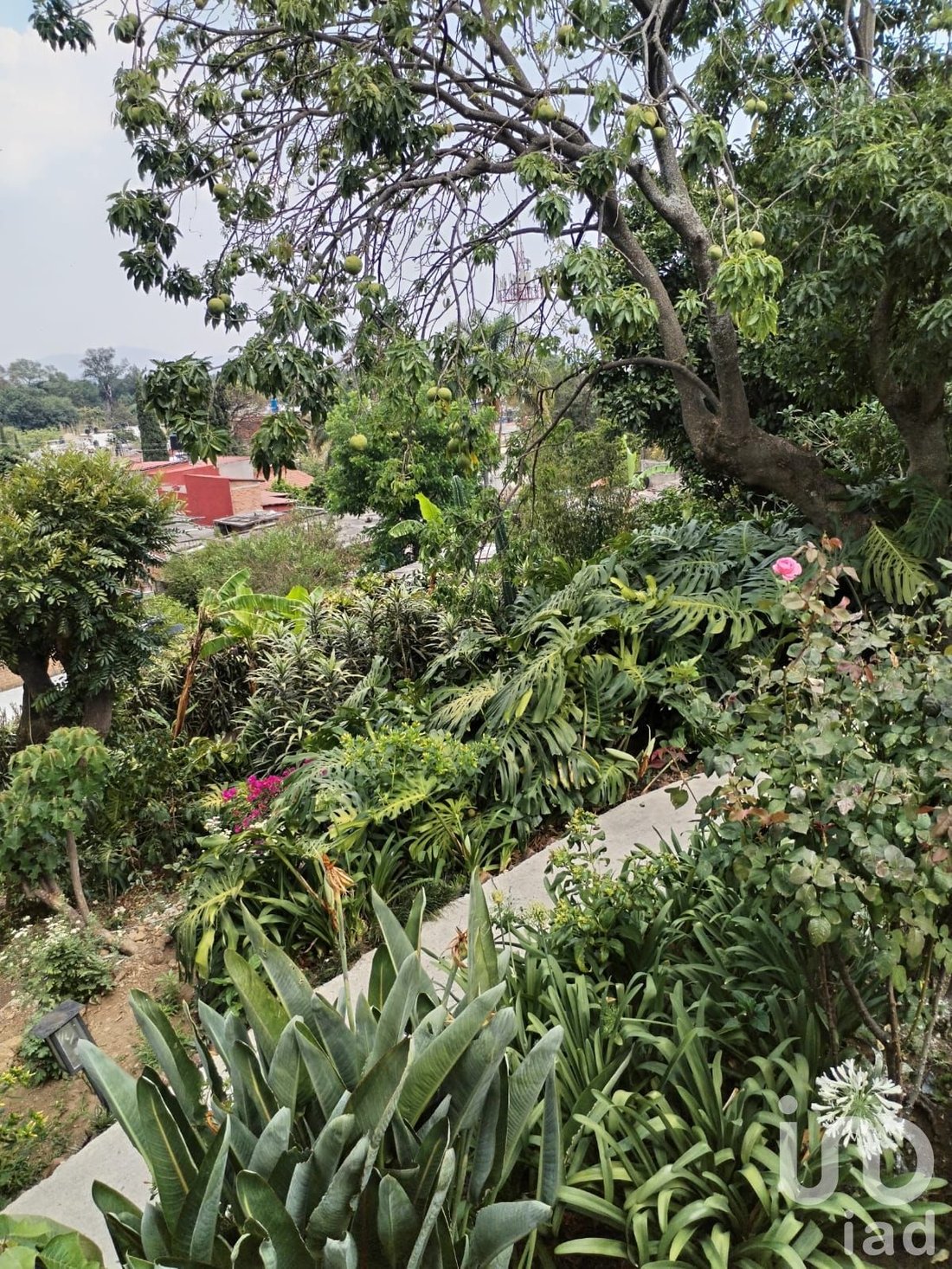 Maison en Cuernavaca, Morelos, Mexique 3 - 18038343