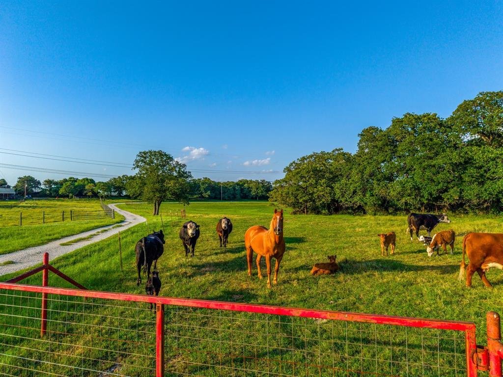 Land in Boyd, Texas, United States 2 - 17952226
