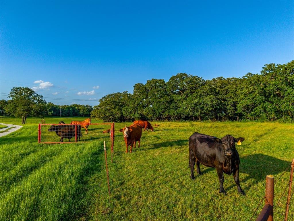 Land in Boyd, Texas, United States 4 - 17952226