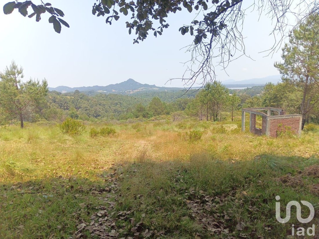 Land in Los Reyes, Hidalgo, Mexico 3 - 18038350