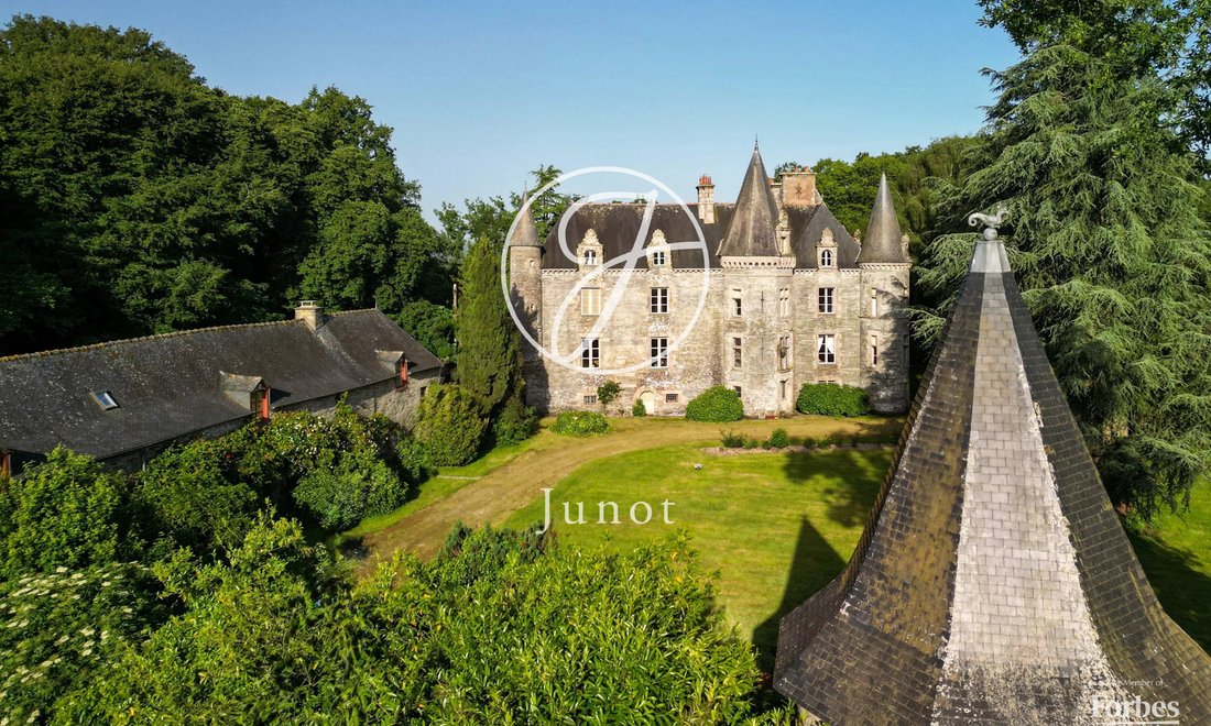 Castle in La Chapelle-Caro, Val d'Oust, France 4 - 17444734