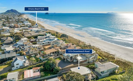 House in Mount Maunganui, Bay of Plenty, New Zealand 1