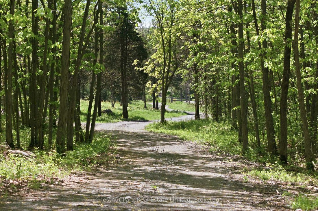 Land in Picton, Ontario, Canada 5 - 17832383