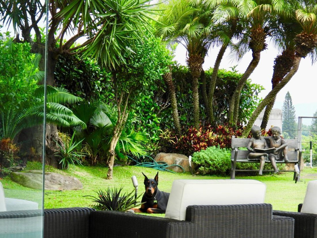 Casa a Cuernavaca, Morelos, Messico 3 - 18042529