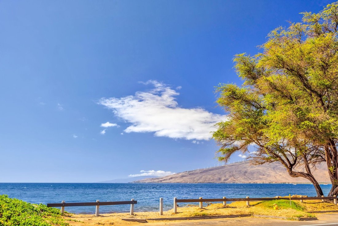 Condo in Kihei, Hawaii, United States 2 - 18042660