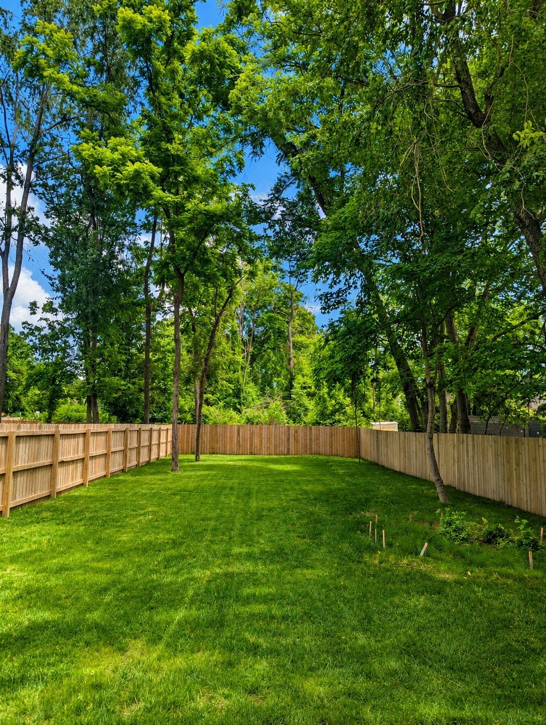 Co Op in Nashville, Tennessee, United States 3 - 17621553