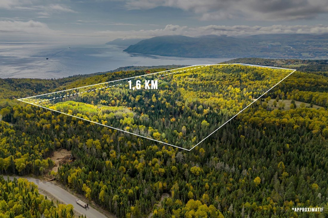 Land in Baie-Saint-Paul, Quebec, Canada 3 - 18042667