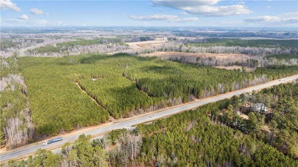 Land in Drewryville, Virginia, United States 1 - 18040795