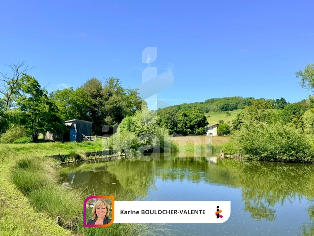 House in Saint-Christophe-et-le-Laris, Auvergne-Rhône-Alpes, France 1 - 17092715