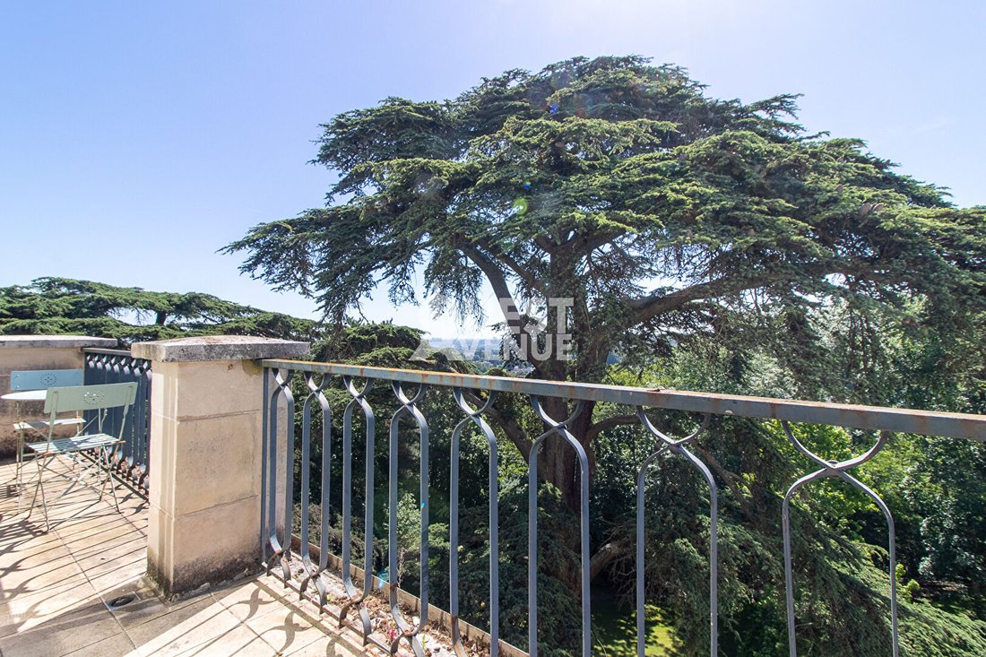 Apartment in Rue de Versailles - Monastère, Ville-d'Avray, France 4 - 18041009